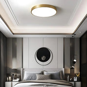 Luminous Halo Ceiling Lamp