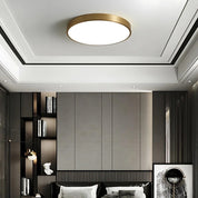 Luminous Halo Ceiling Lamp