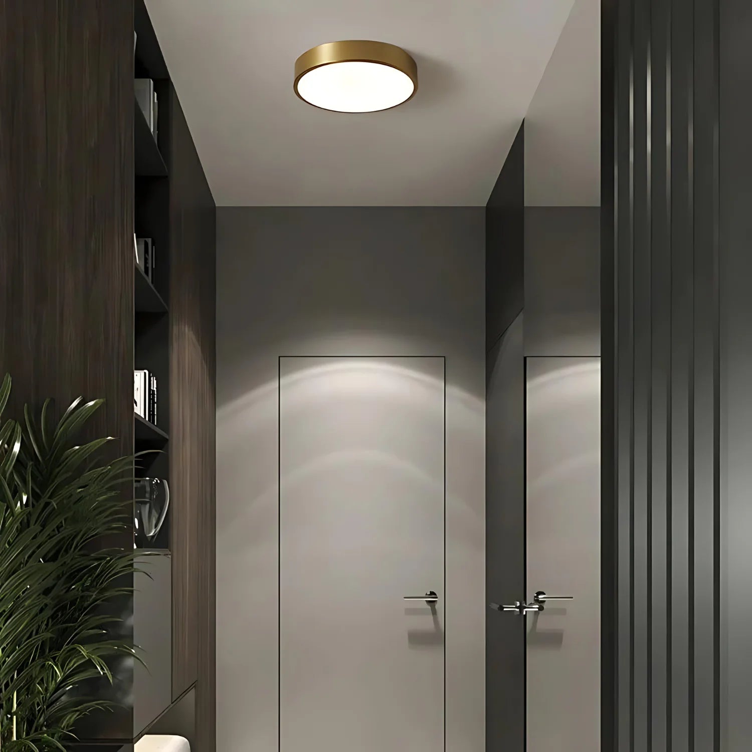 Luminous Halo Ceiling Lamp