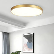 Luminous Halo Ceiling Lamp