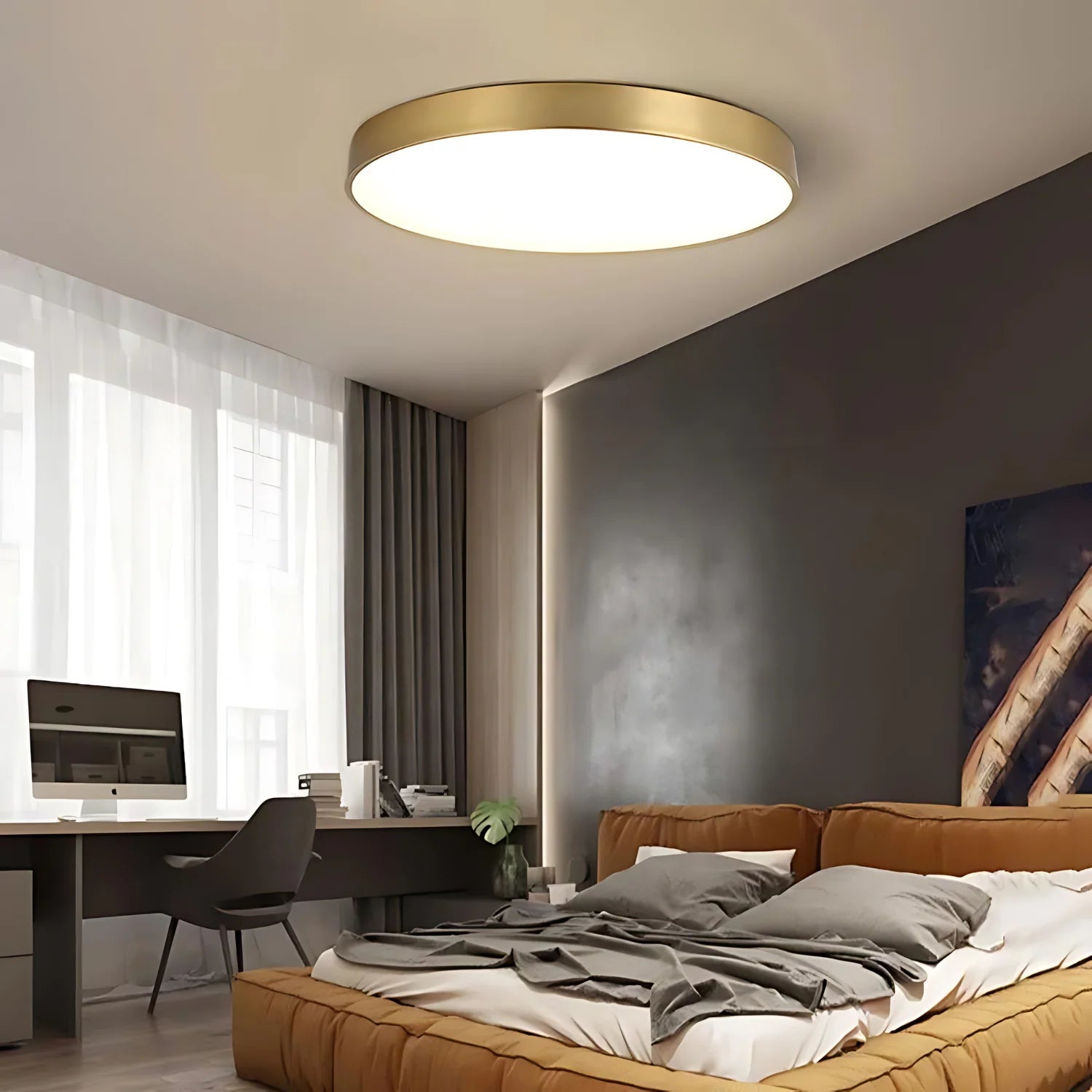 Luminous Halo Ceiling Lamp