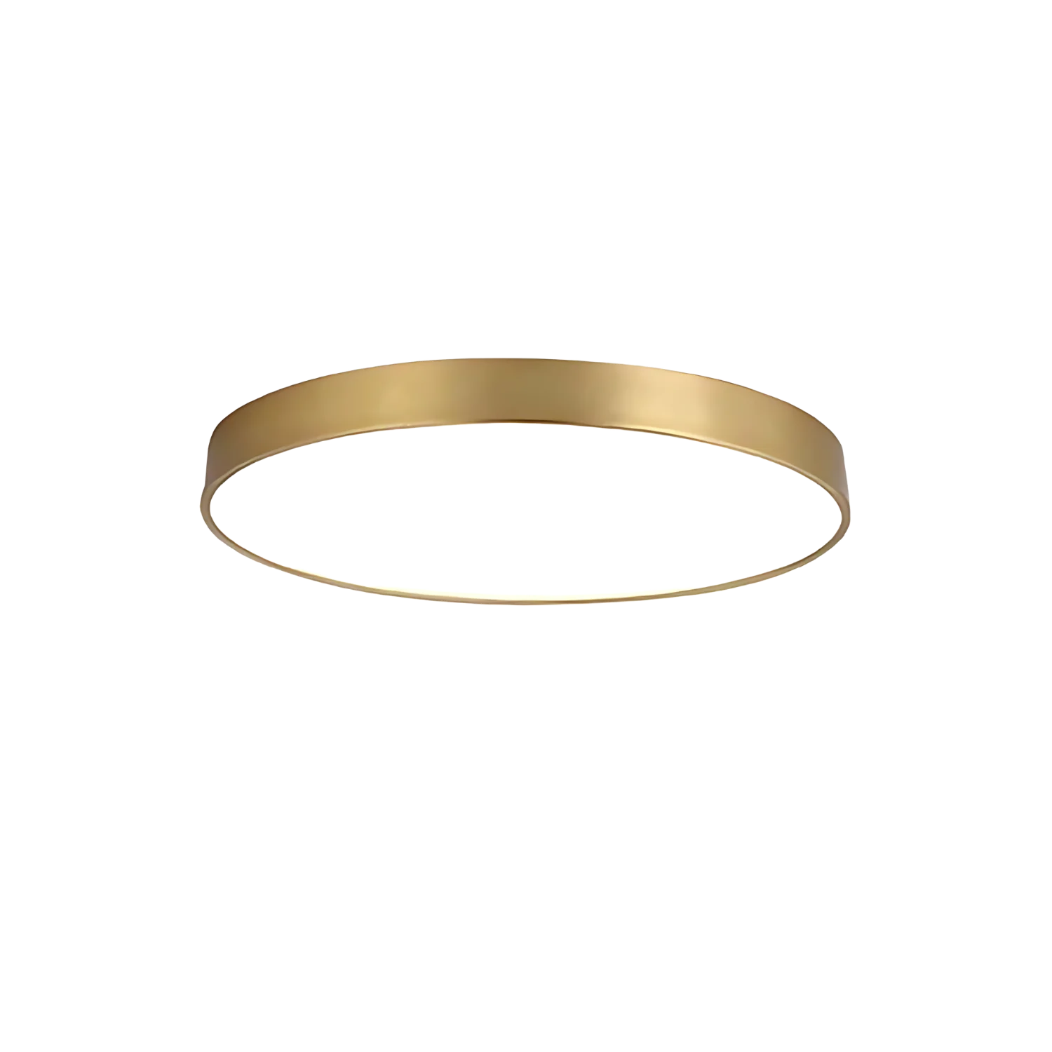 Luminous Halo Ceiling Lamp