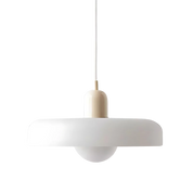 Aura Pendant Light